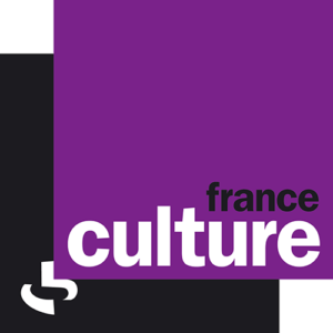 Neuro-Bretagne sur France Culture