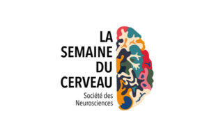 affiche logo semaine du cerveau